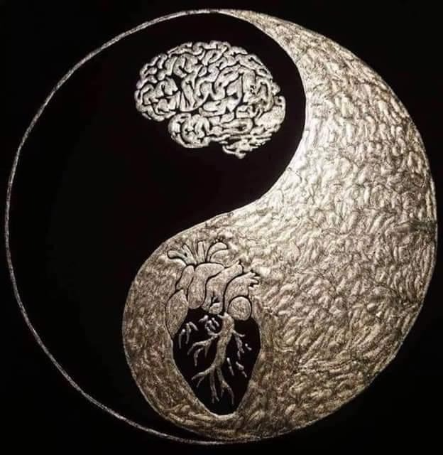 brain vs heart.jpeg